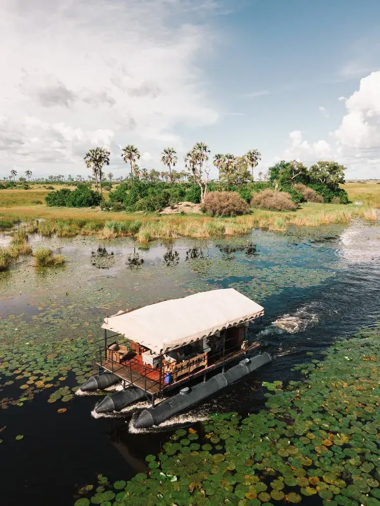 Selinda Camp