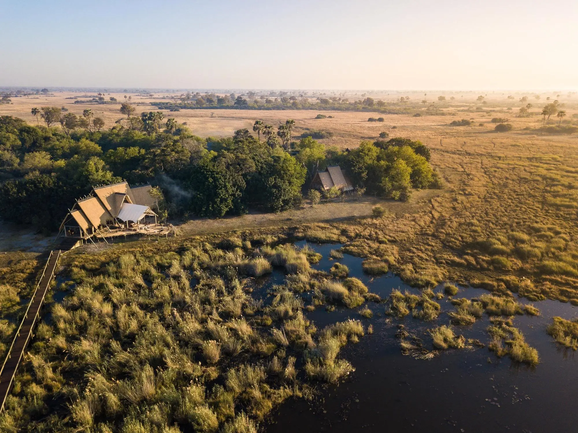 Selinda Camp