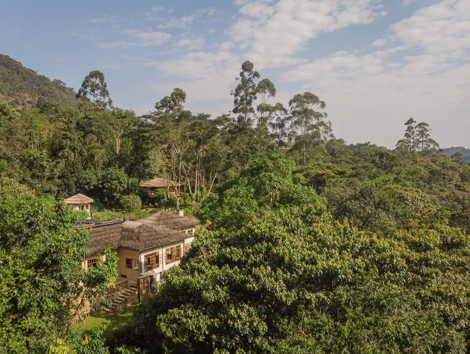 Bwindi Lodge