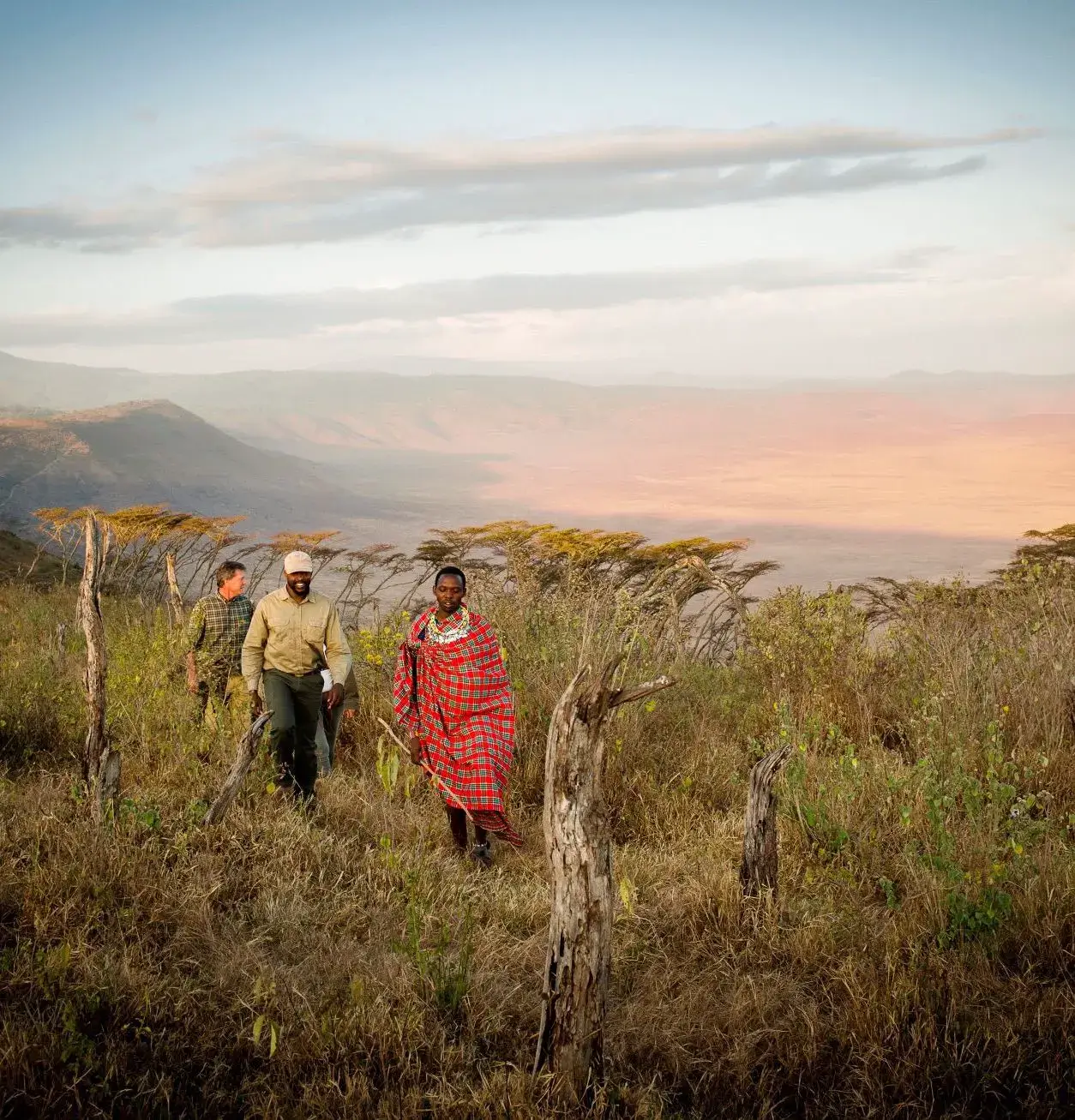 Entamanu Ngorongoro