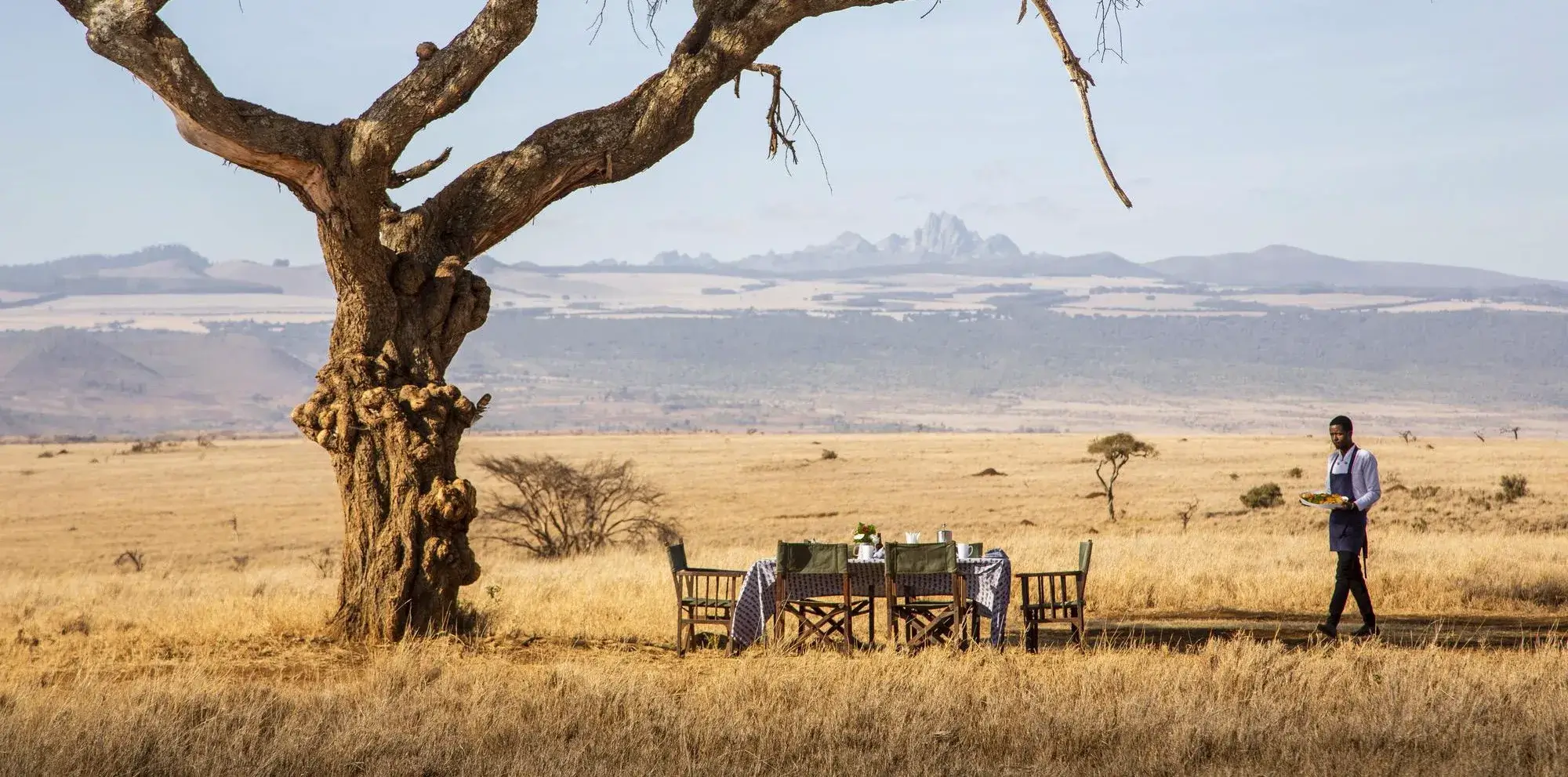 Lewa Wilderness