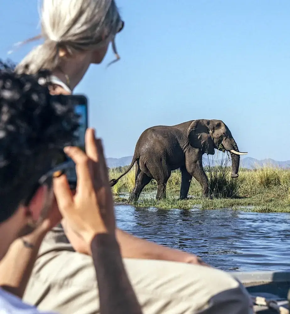 Anabezi