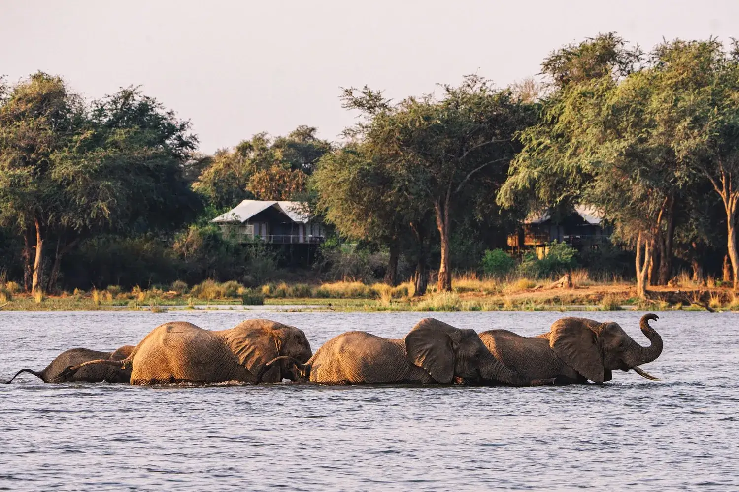 Anabezi