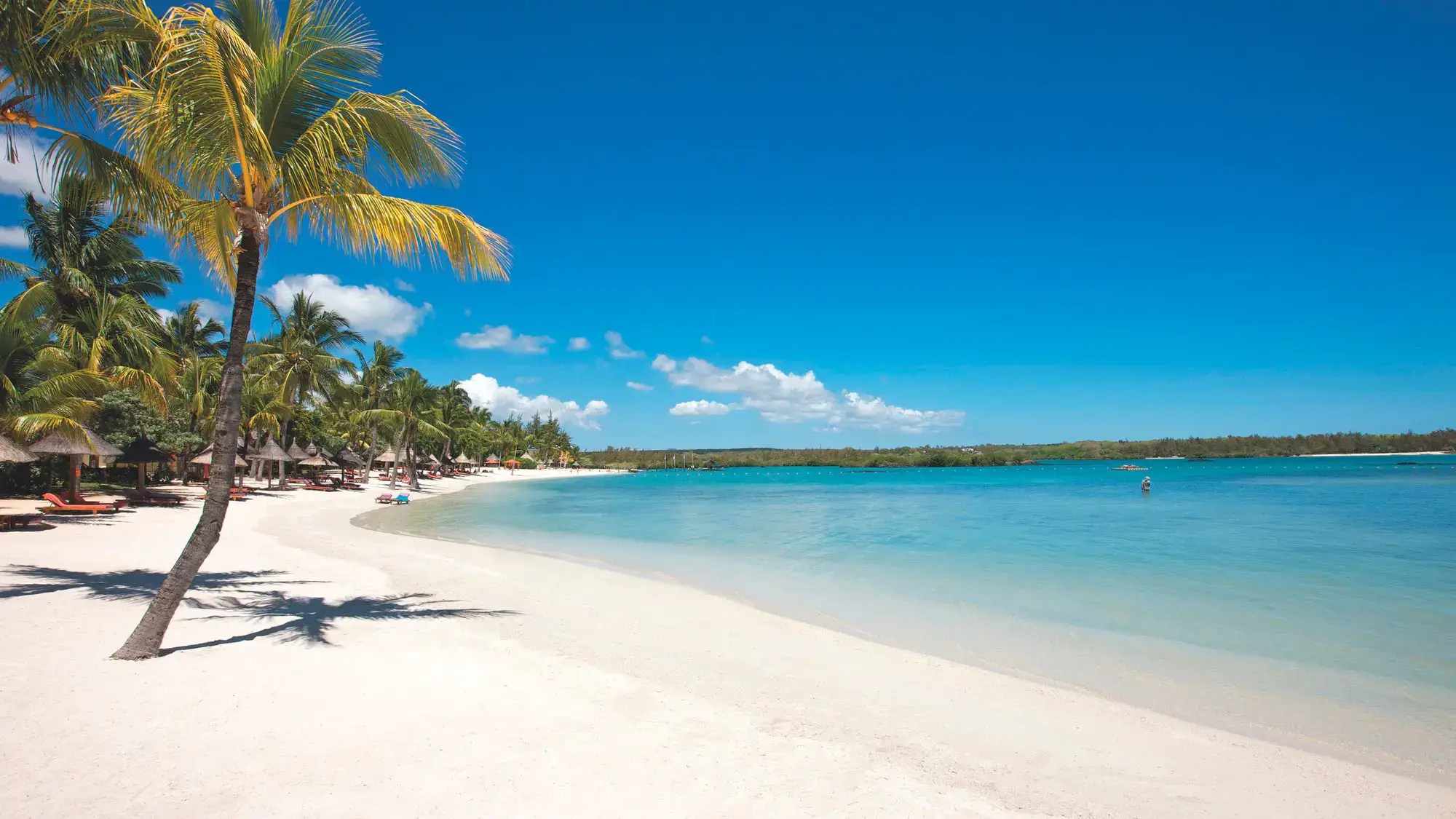Constance Prince Maurice