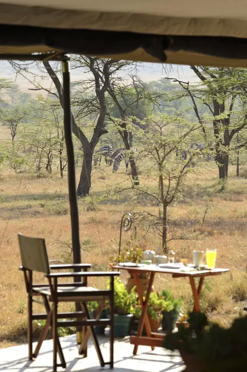 Kicheche Bush Camp