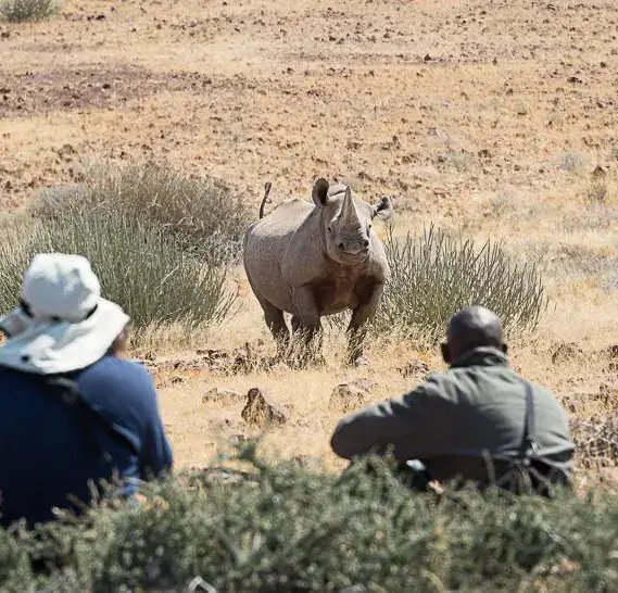 Desert Rhino Camp