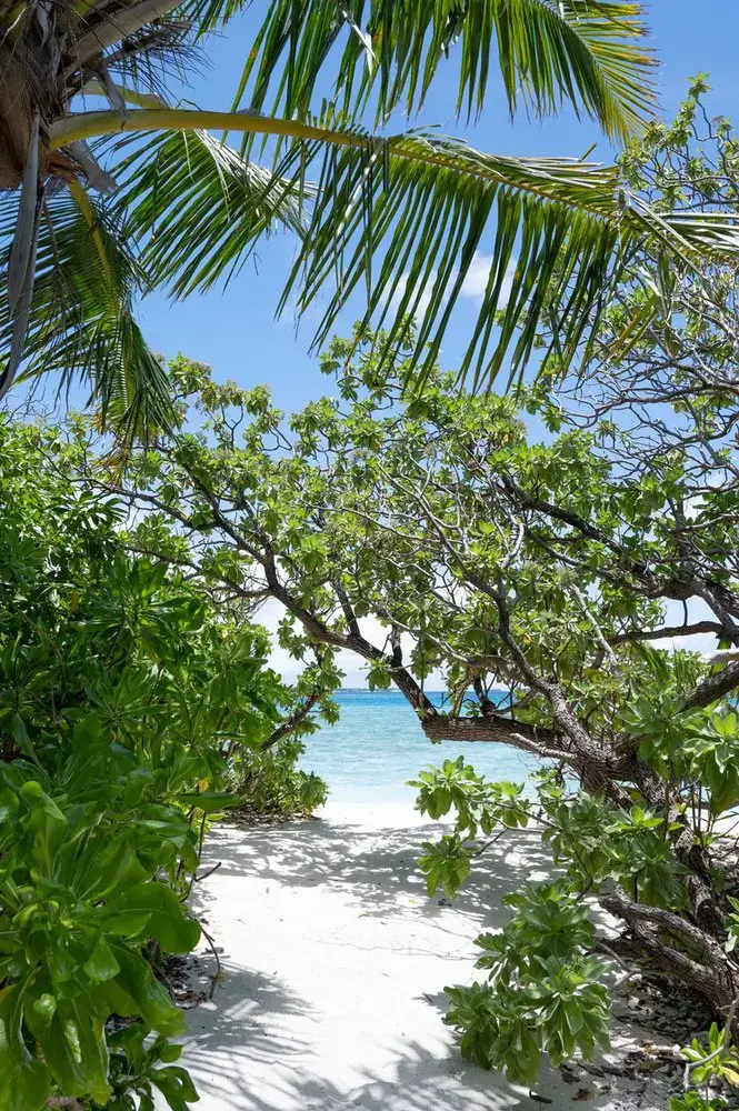 Makunudu Island