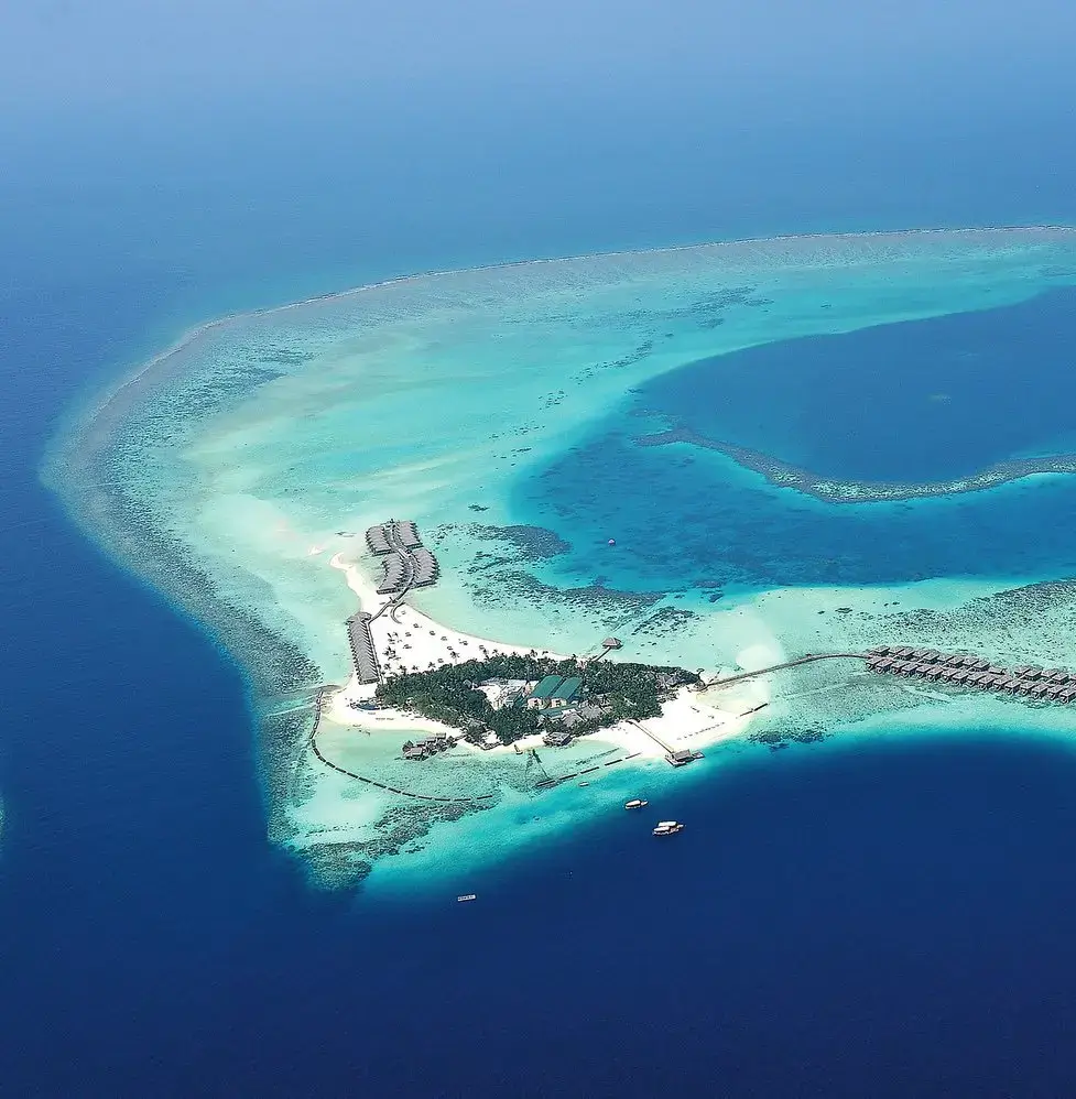 Constance Moofushi 
