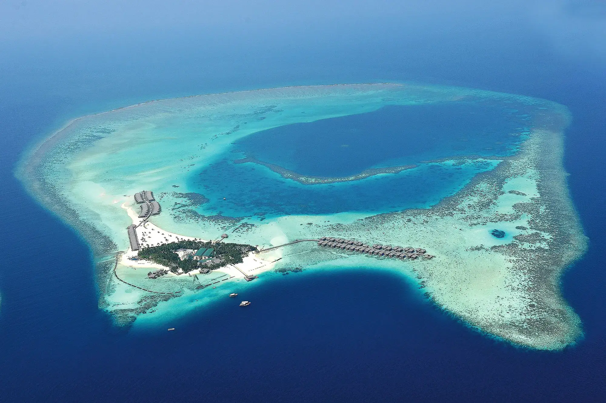 Constance Moofushi 