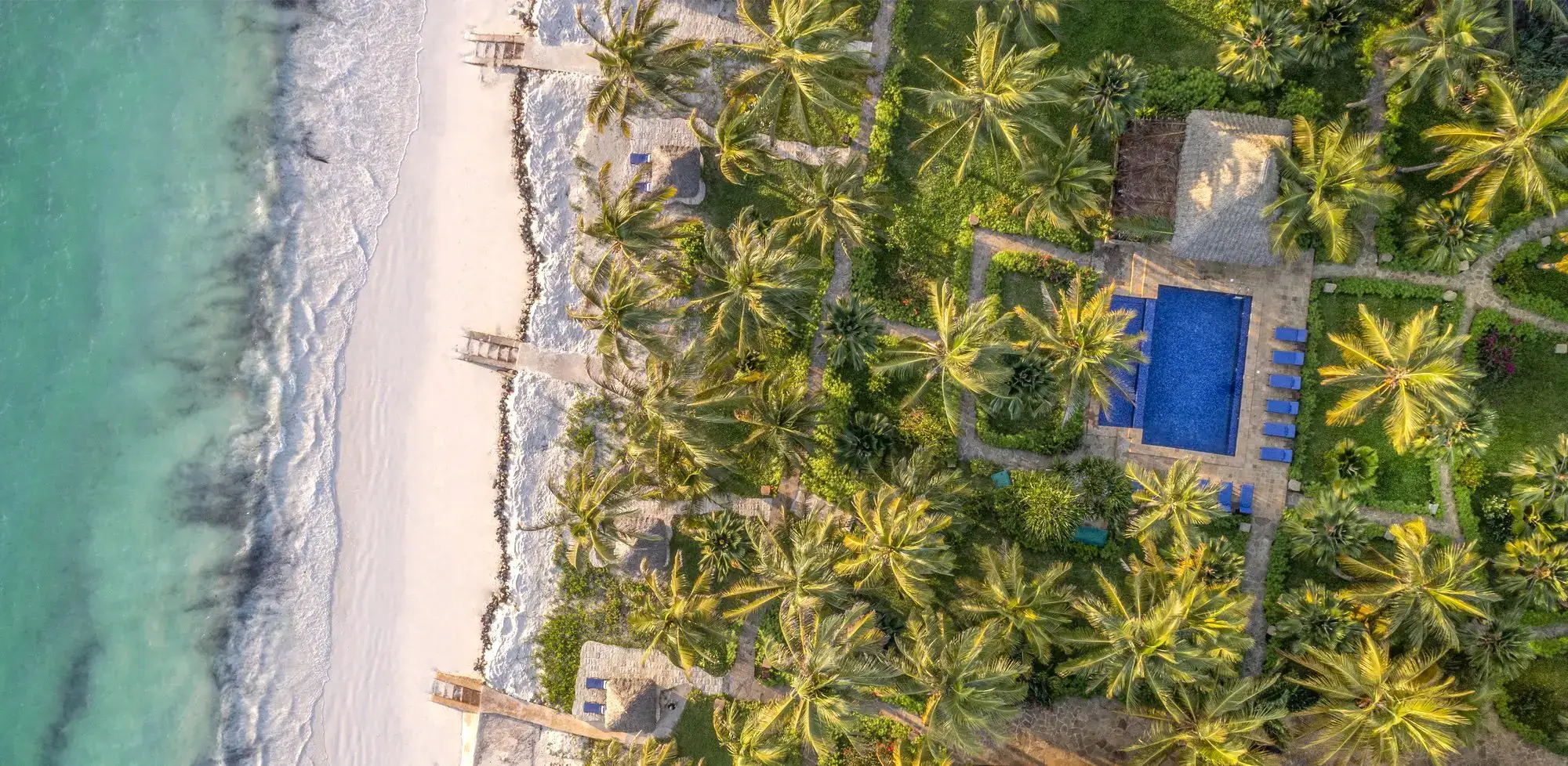 The Palms