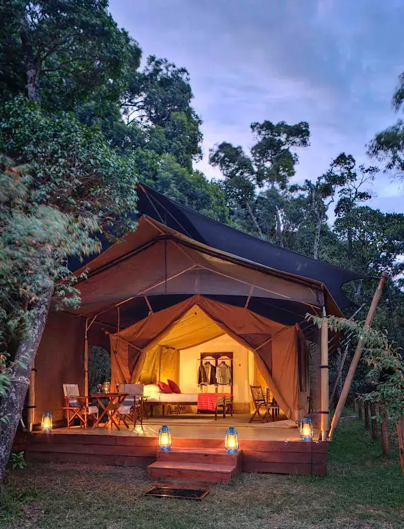 Elephant Pepper Camp