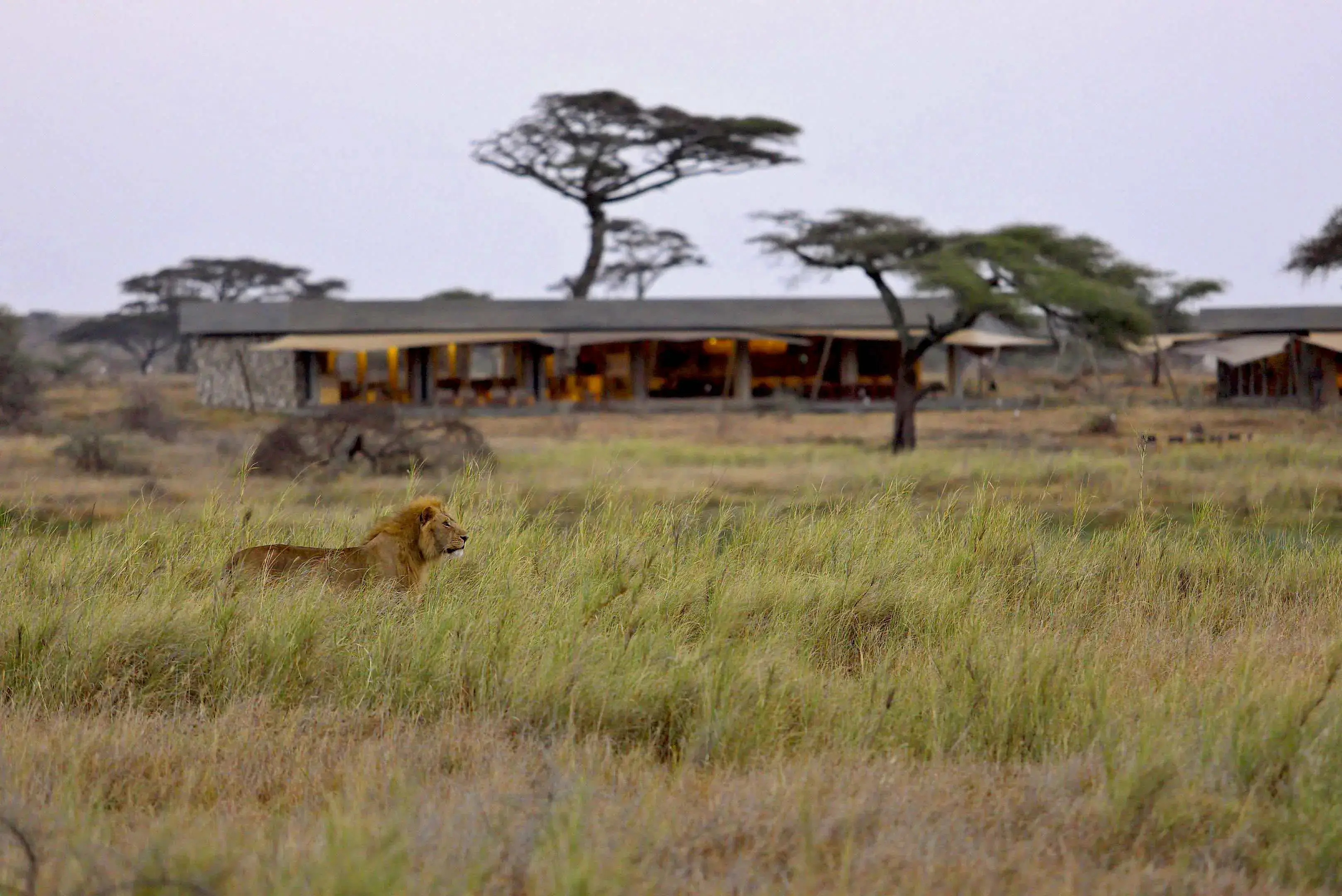 Namiri Plains