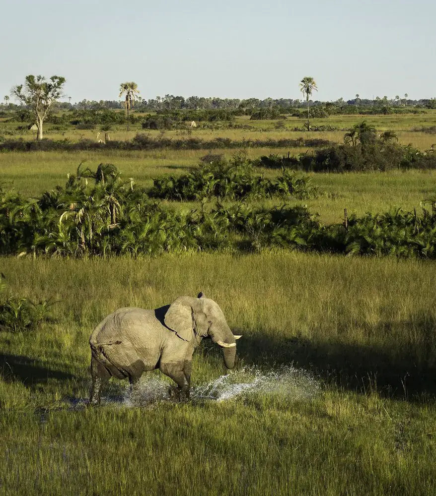 Botswana