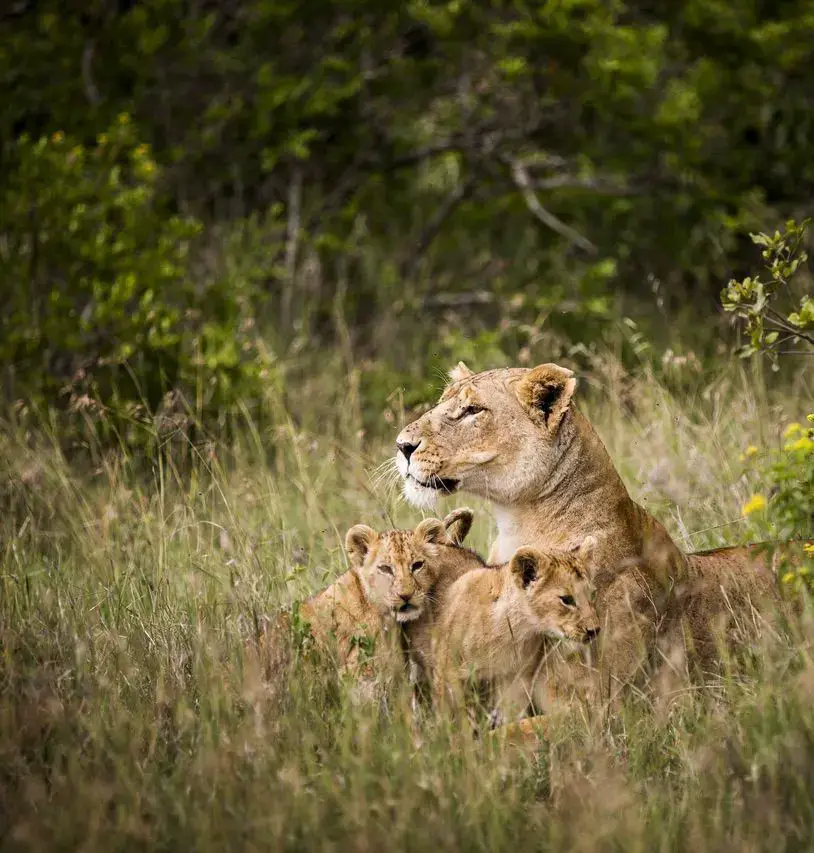 Kenya