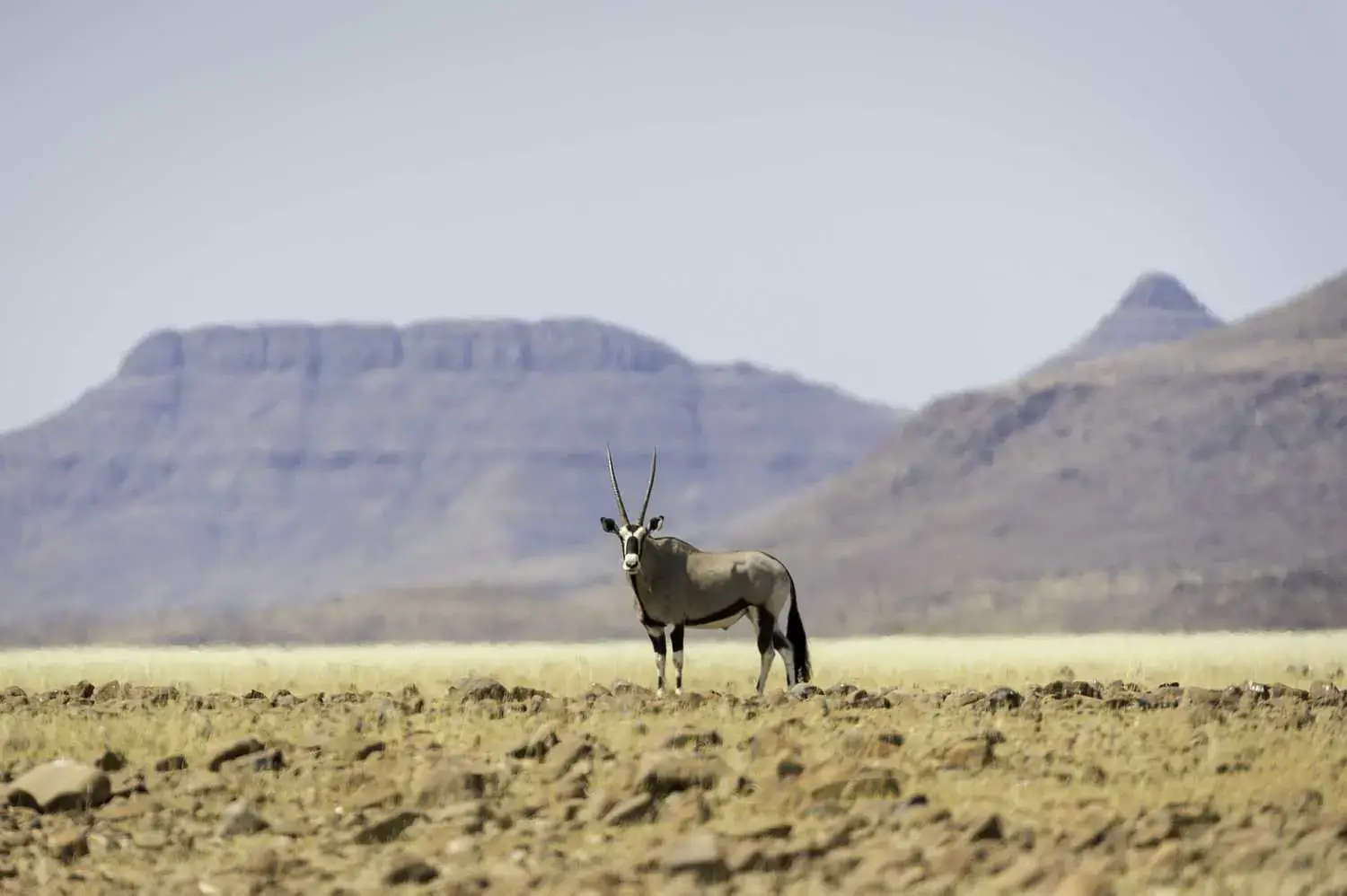 Namibia