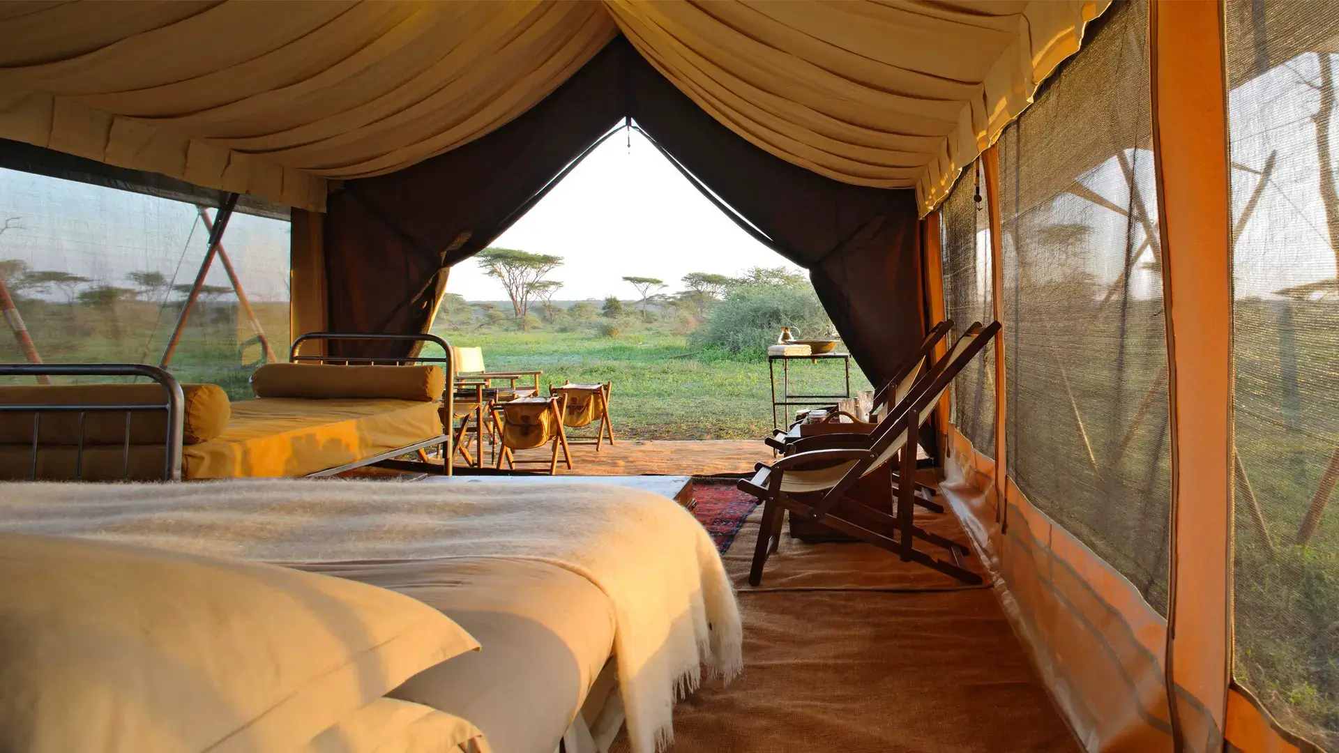 Serengeti Under Canvas
