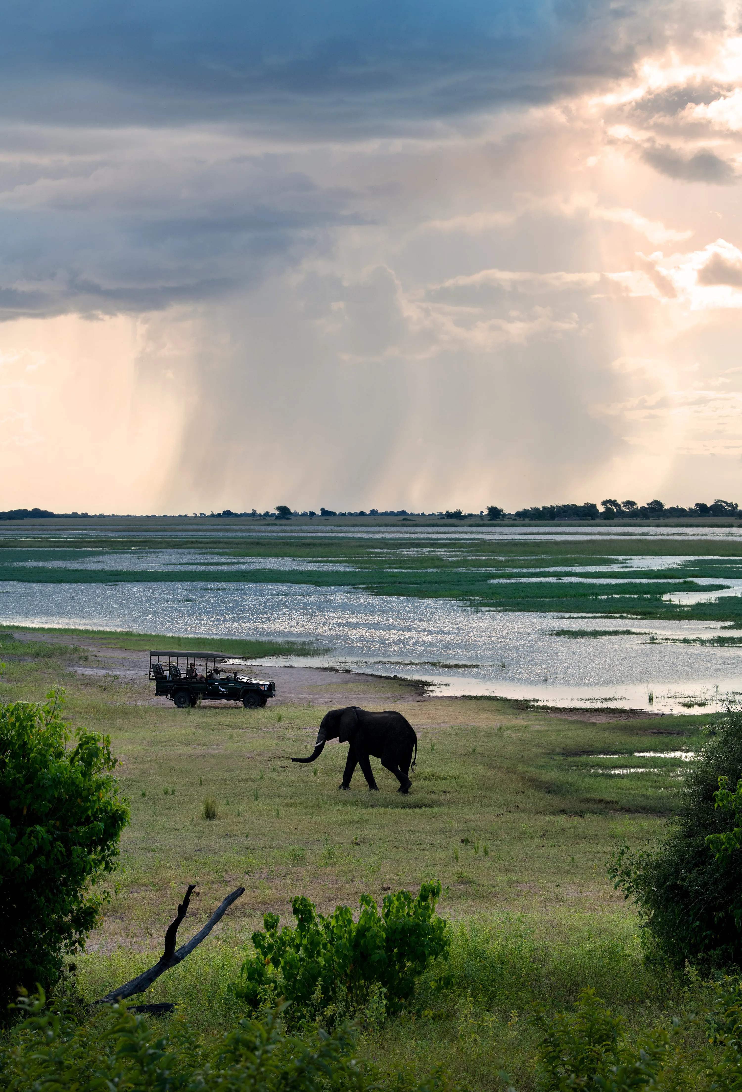 Chobe Under Canvas