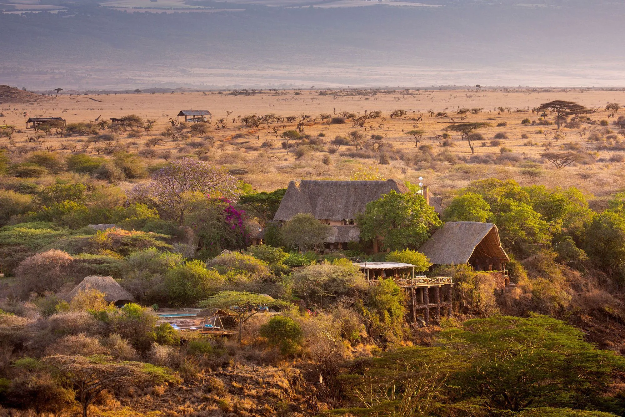Lewa Wilderness