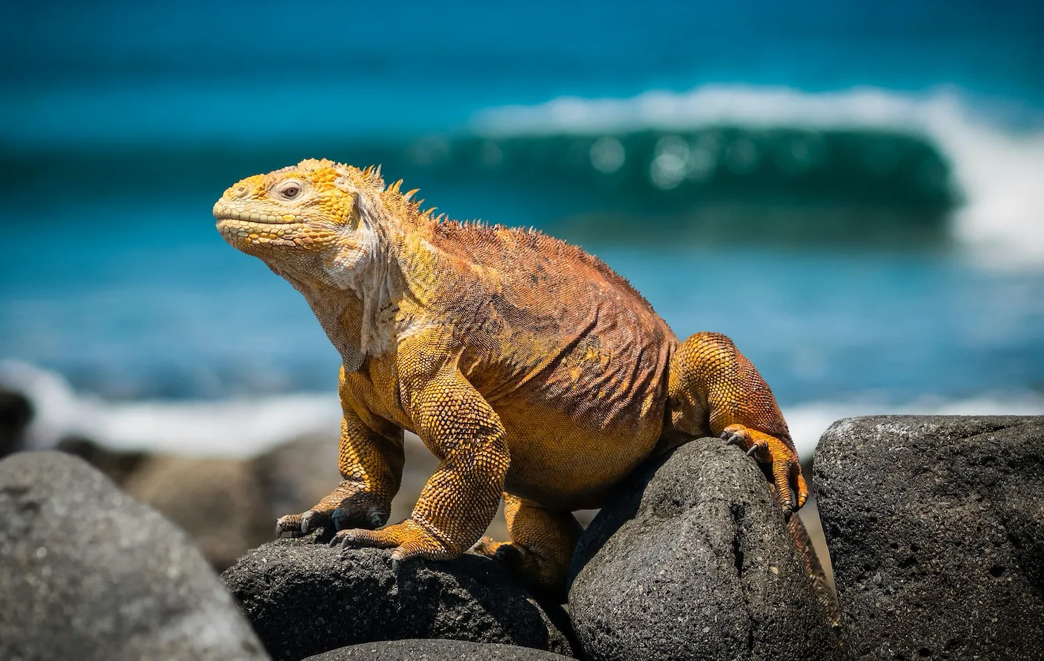 Equador