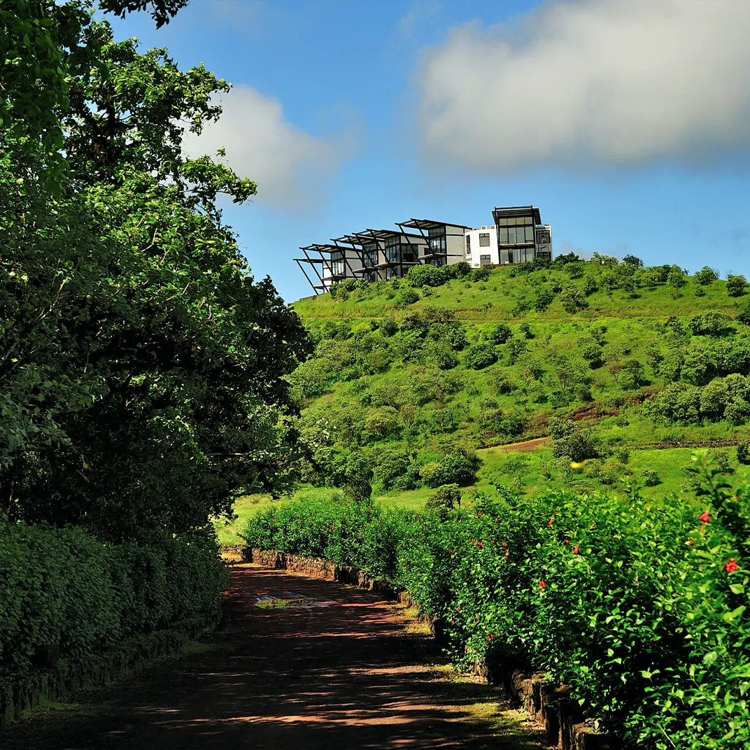 Pikaia Lodge