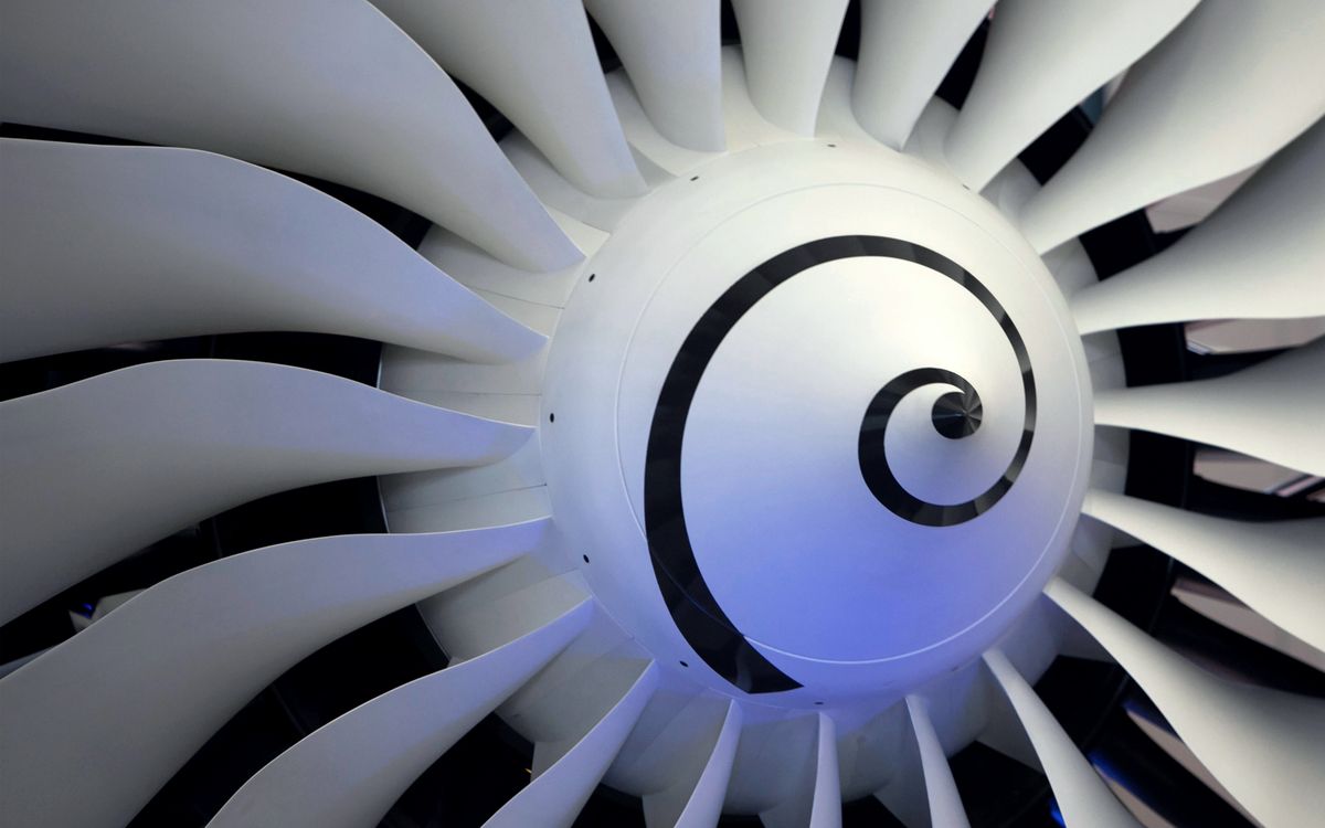 Fan blades of a jet engine