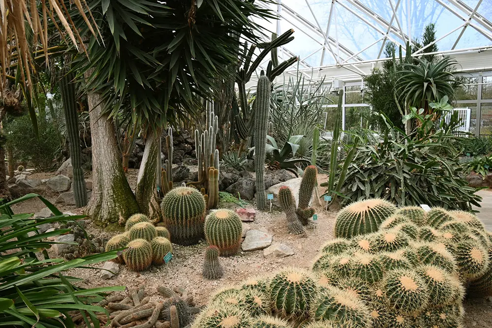 Pflanzenschauhaus mit Kakteen- und Sukkulentenhaus im botanischen Garten