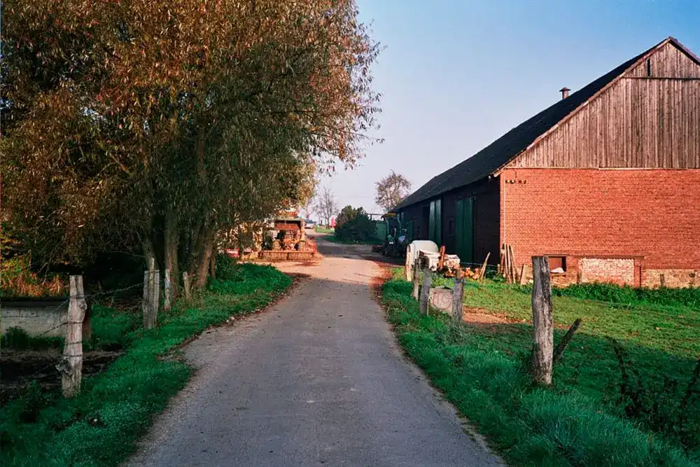 Alte Bauernhof Straße zwischen Wiese vor historischem Gehöf, Mittelhammshof, Essen, Ruhrgebiet
