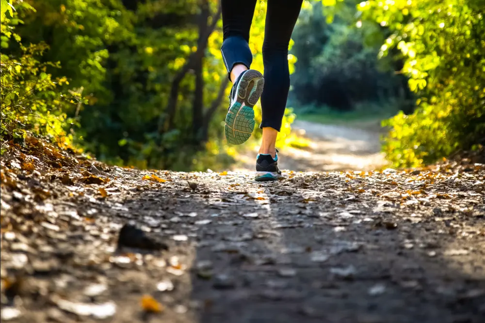 Rückenansicht einer Joggerin auf Waldpfad umgeben von Laubbäumen, die ihre verfärbten Blätter abwerfen, Kruppwald Essen 