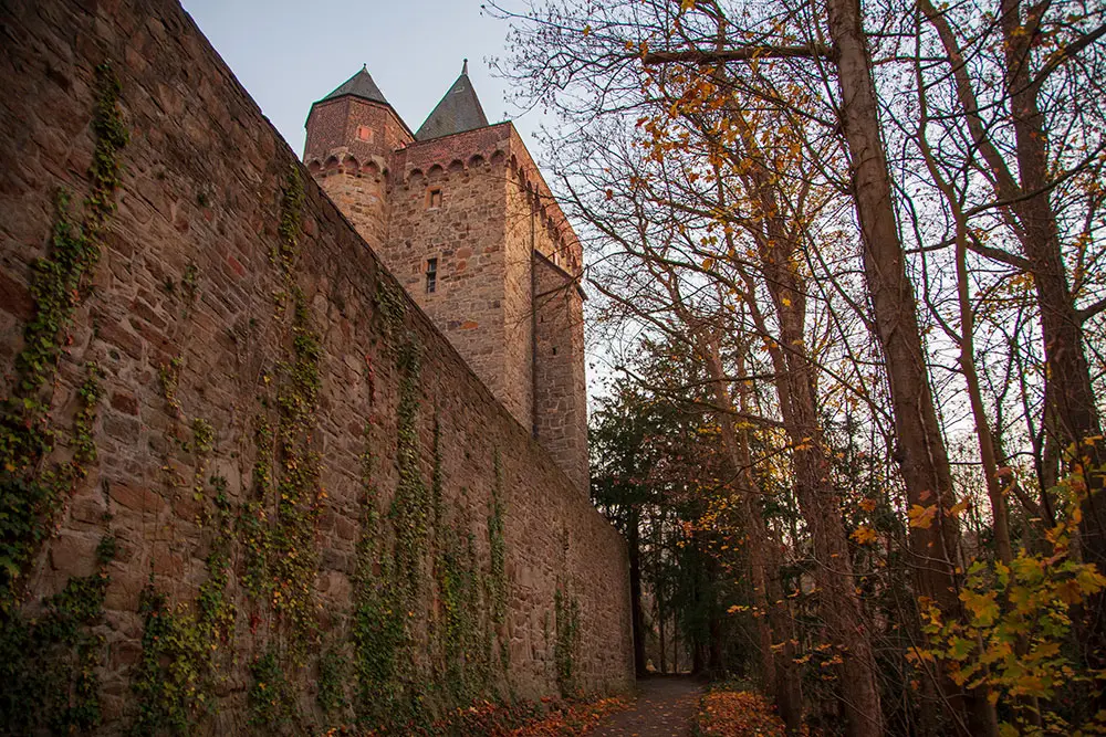 Herbstlicher Weg, mit vielen gefallenen Ahornblätter, entlang ein Schloss aus dem Jahr 1291 im Wald, Schloss Landsberg, Essen