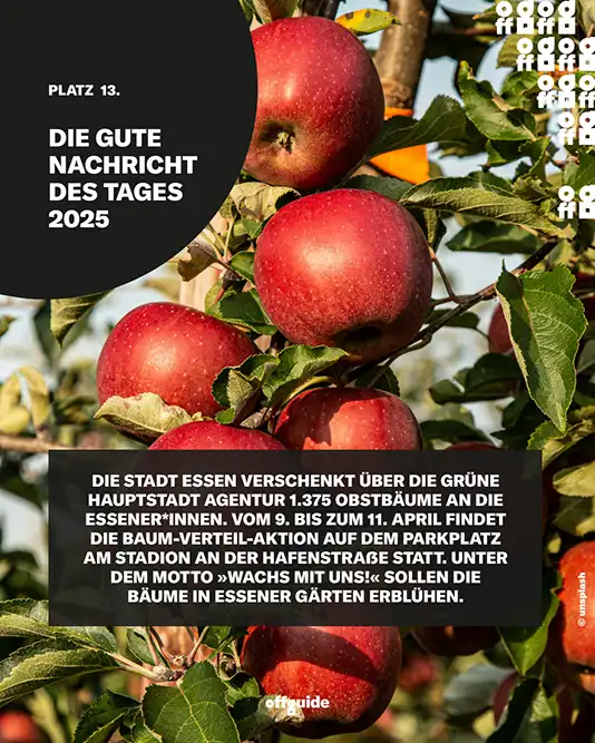pfel in der Sonne, Baum-Verschenkaktion der Stadt Essen