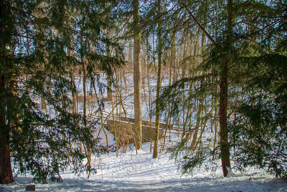 Winteridylle im Wald im Margarethenwald in Essen