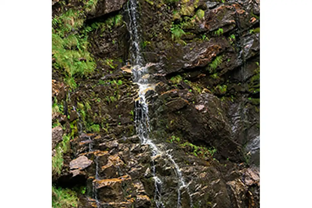 Quellwasser fließt aus steiler Felswand und stürzt als Wasserfall in ein natürliches Steinbecken, Sturzquelle, Essen-Kettwig