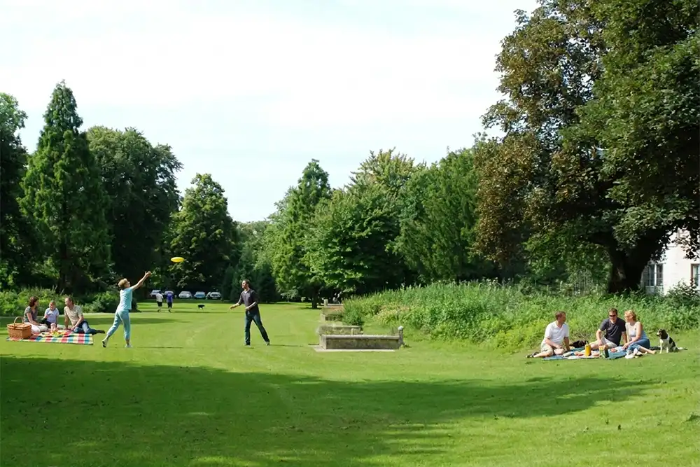 Zwei Personen spielen Frisbee auf der Wiese im Haumannpark in Essen-Rüttenscheid, während andere Gruppen im Schatten picknicken.
