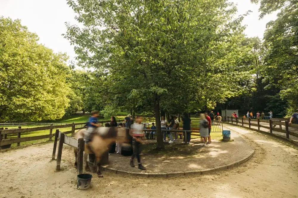  ‍Kinder beim Ponyreiten auf einer Reitbahn im Grugapark Essen als Ausflugstipp in den Sommerferien.