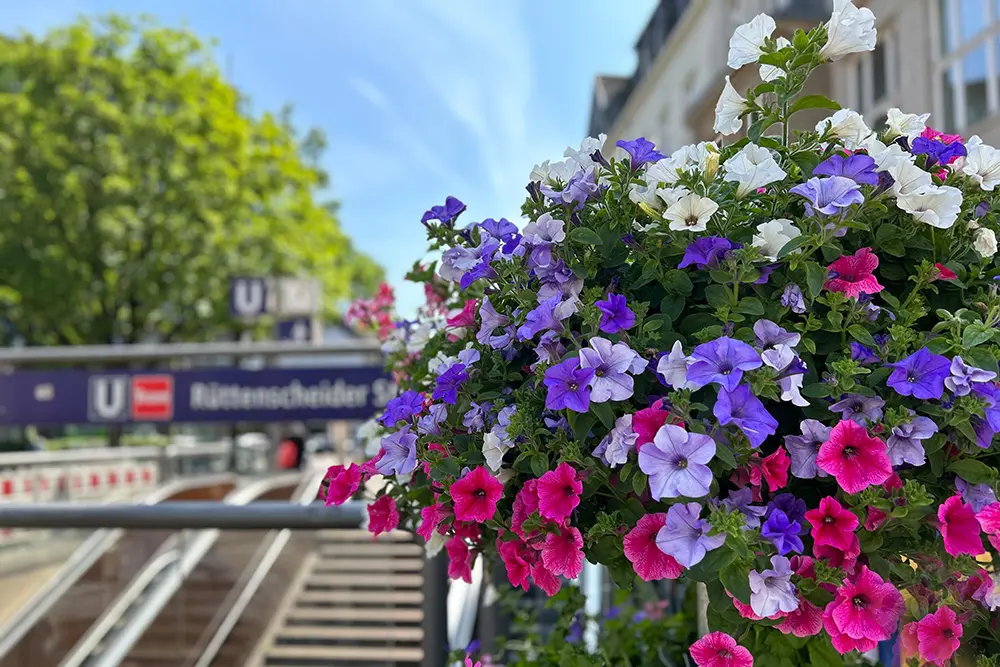 Bunte Blumen im Vordergrund vor dem U-Bahnhof Rüttenscheider Stern als Kulisse für ein Outdoor-Escape-Room-Abenteuer in den Sommerferien.