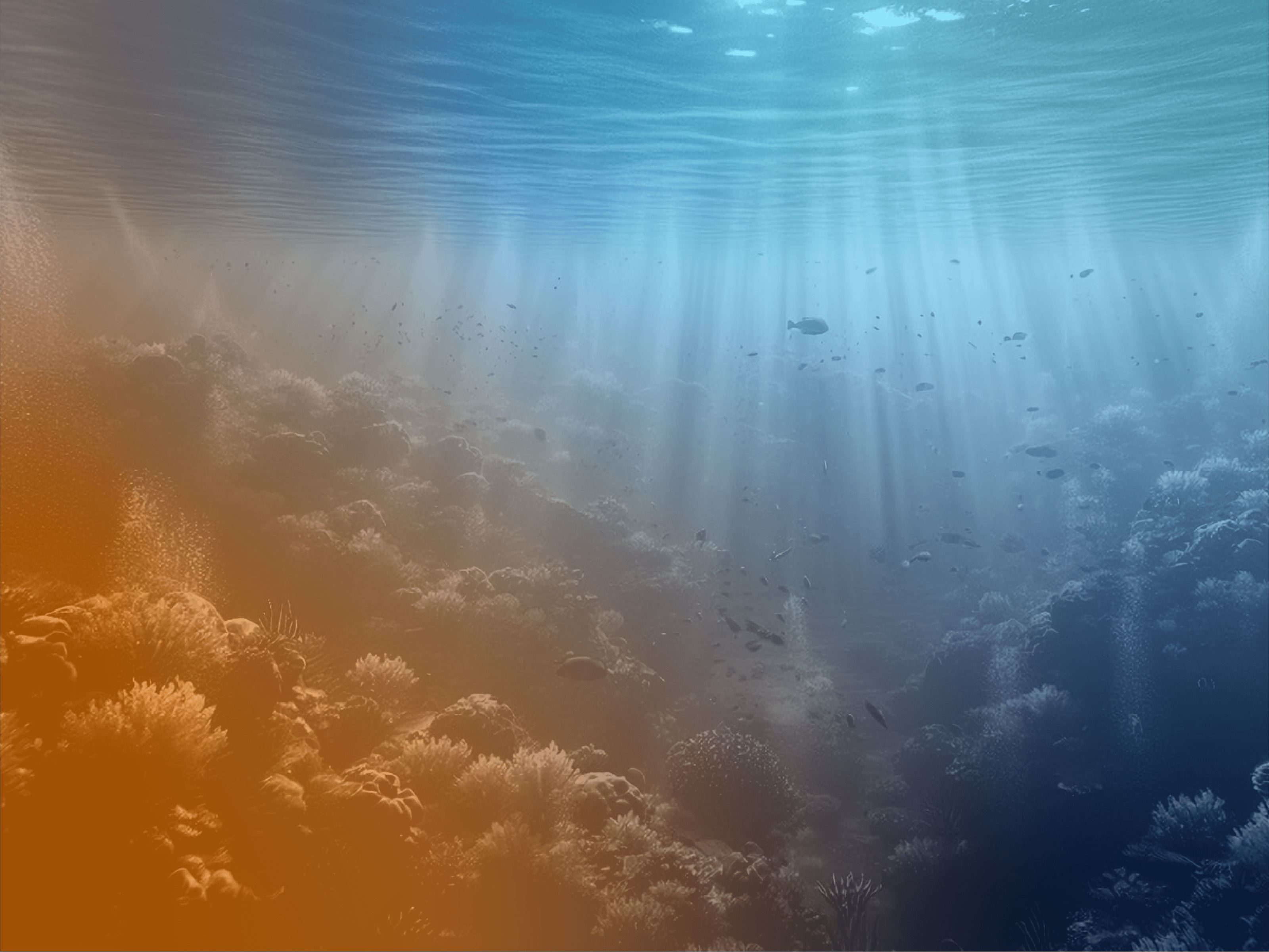 2025 Changed us for good. 2026 will be the Odyssey.