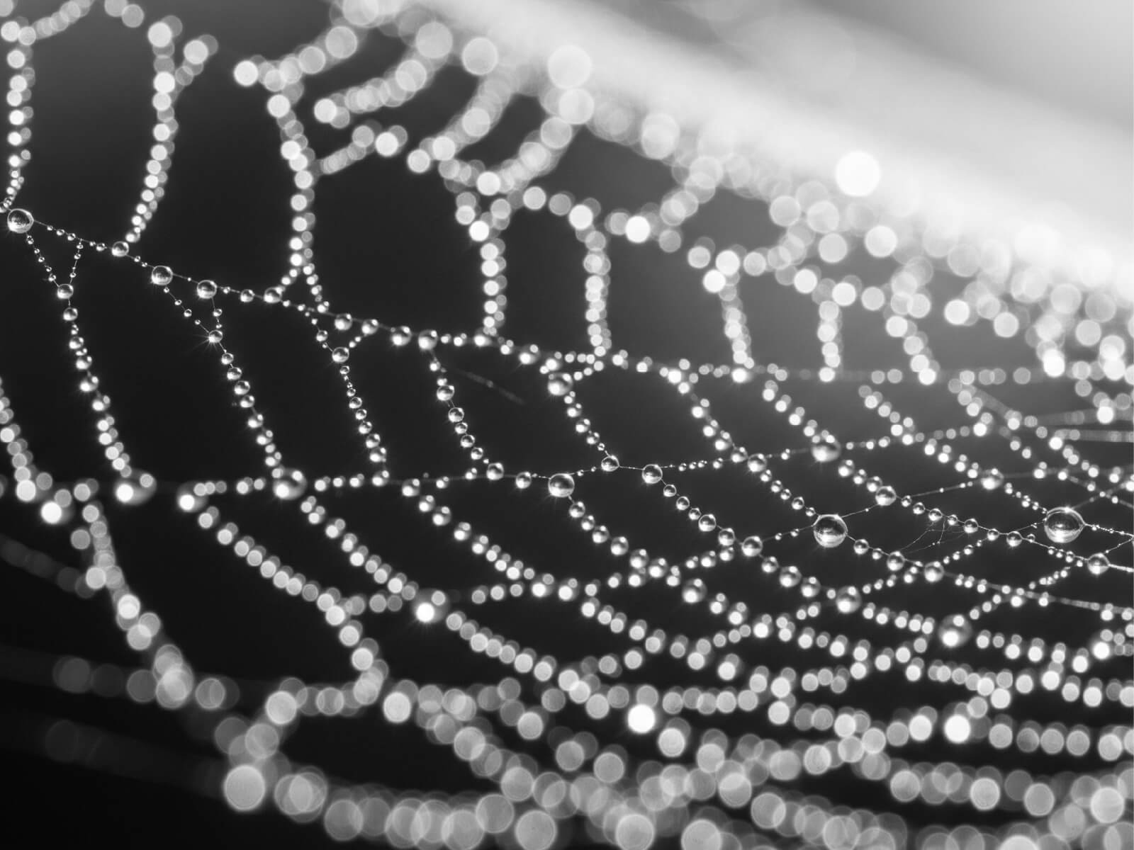 From IDs to signals: How data collaboration powers intelligence