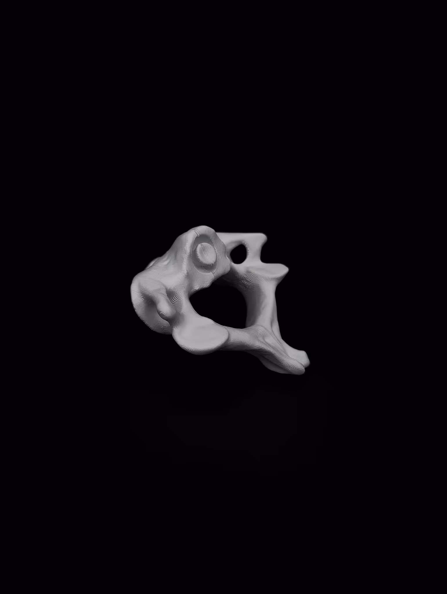 Organische vorm ge3dprint in Wit filament