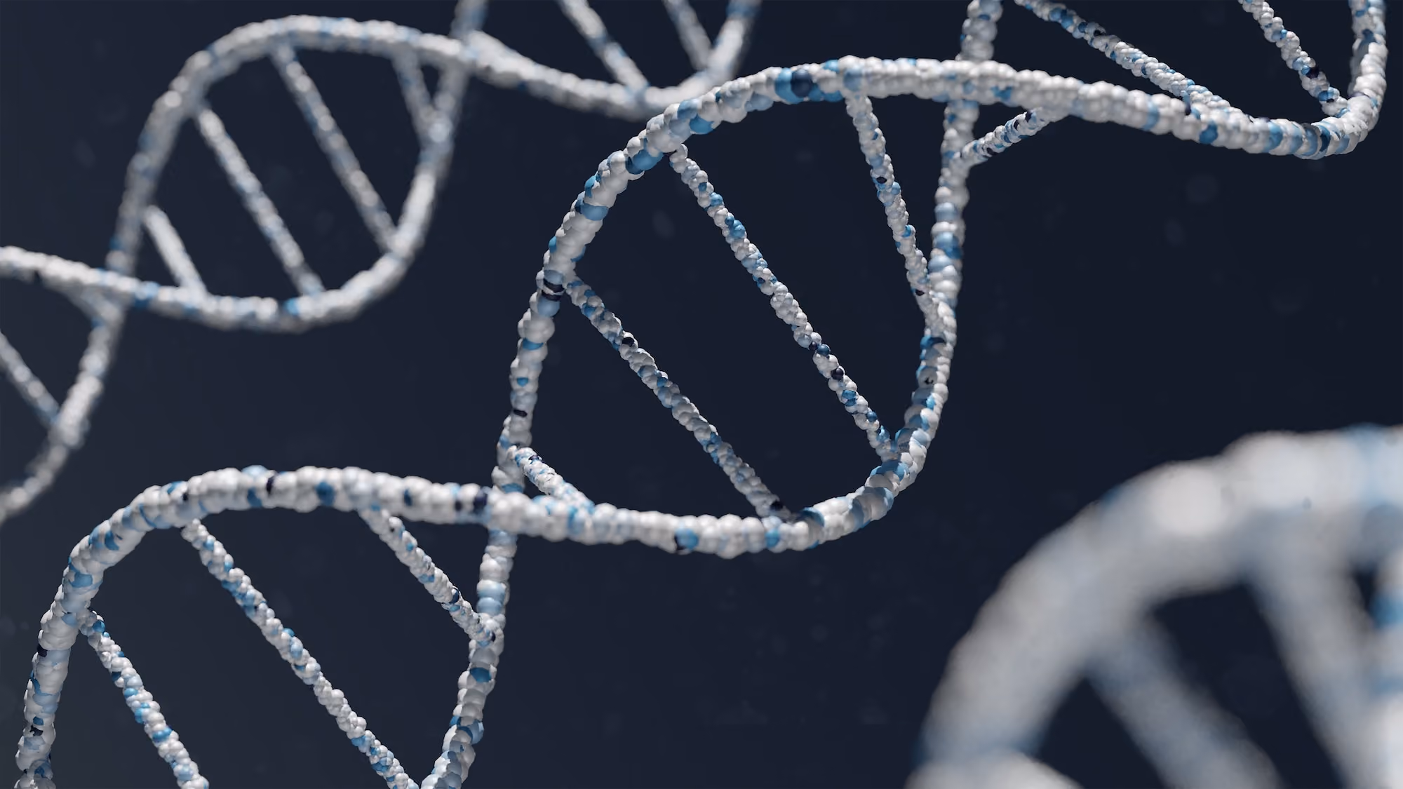 Artwork showing DNA double helix