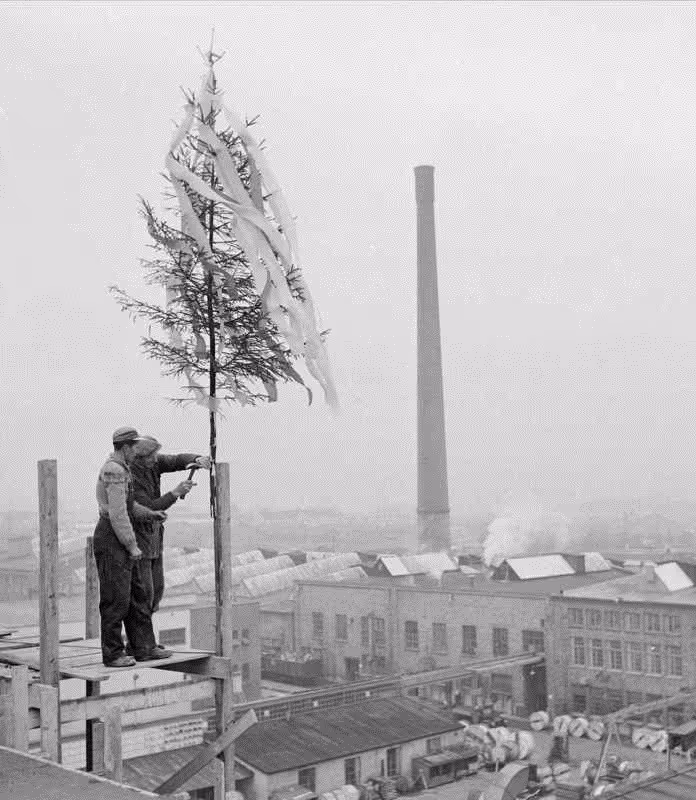 Workers attach evergreen tree during historic topping out ceremony