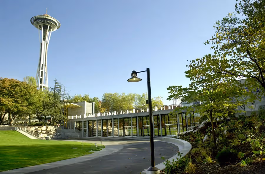 Fisher Pavilion shows how site analysis shapes design with surroundings