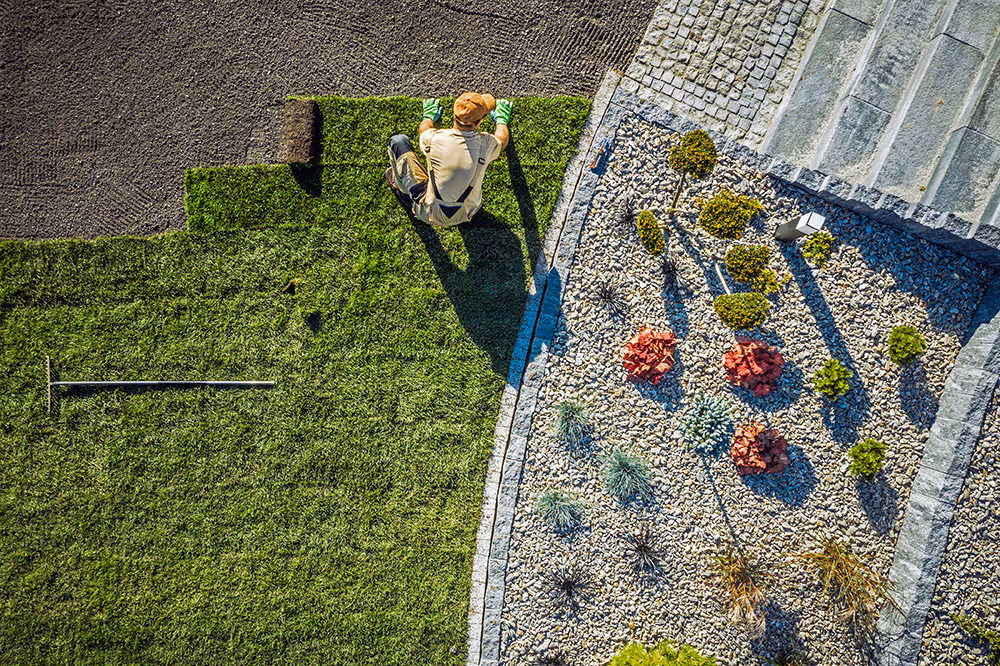 Worker laying turf beside planting bed during landscape project management phase.