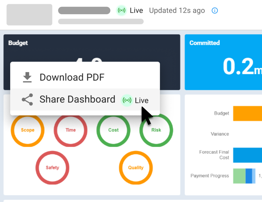 Executive Dashboard for Capital Improvement Programs