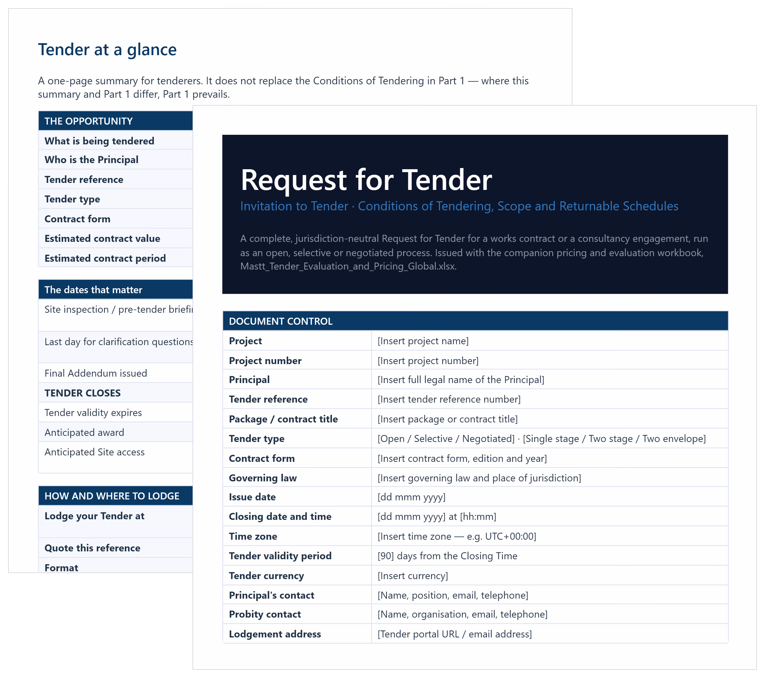 Tender Document Template