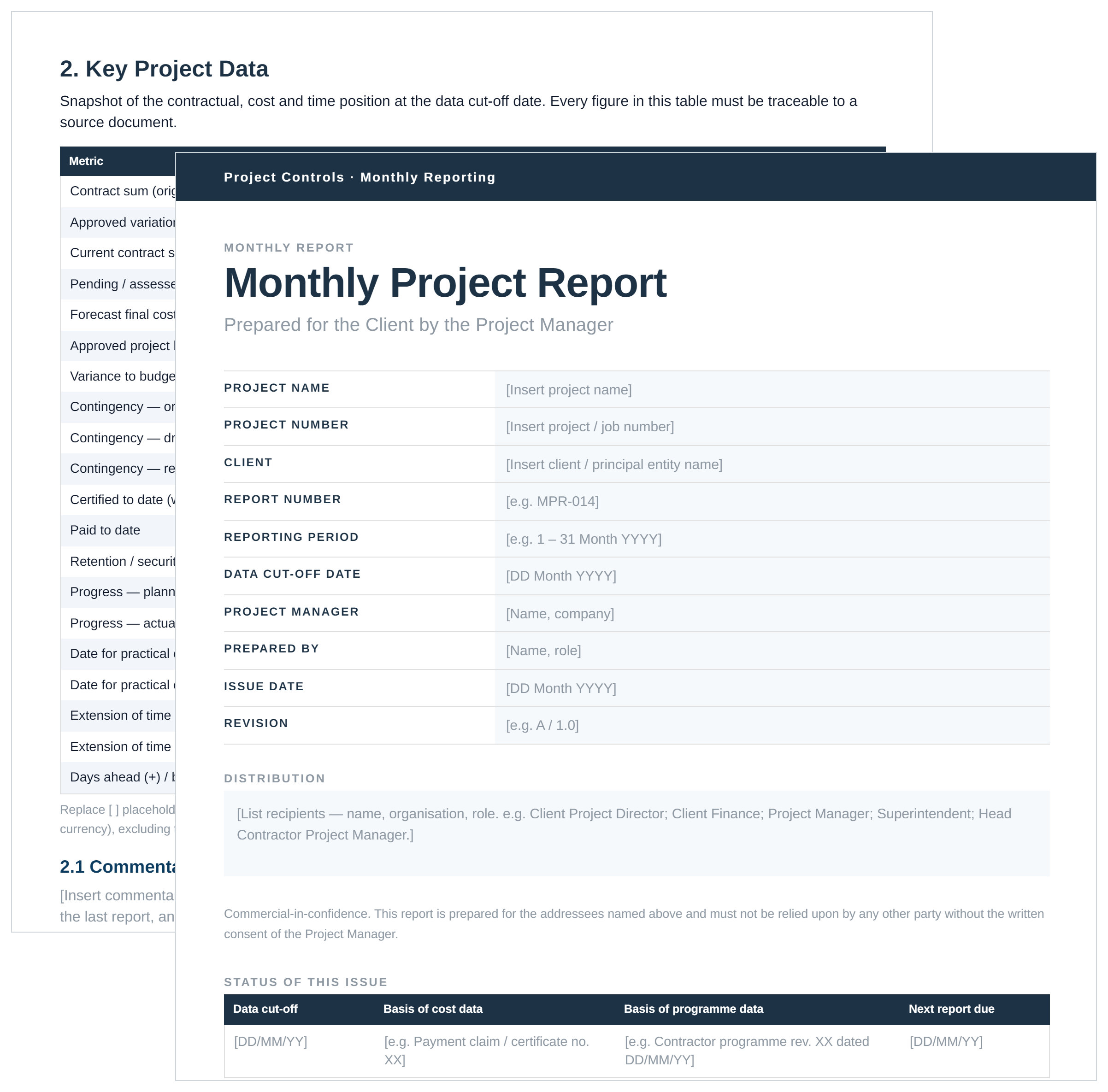 Project Monthly Report