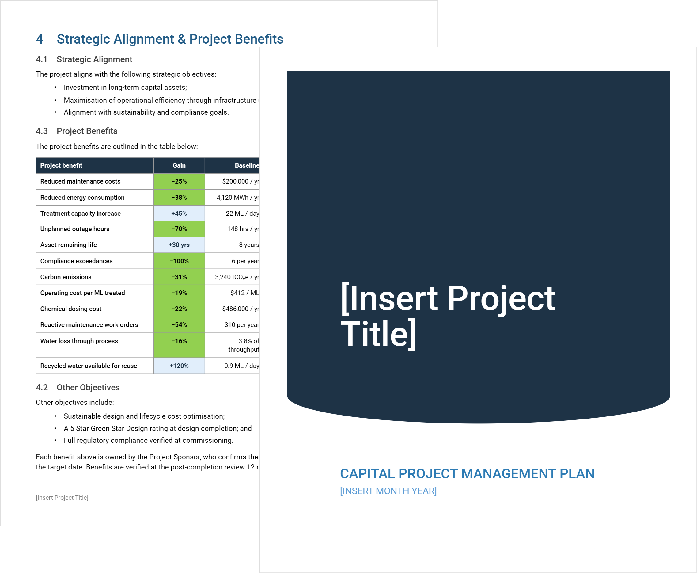 Capital Project Management Plan Template