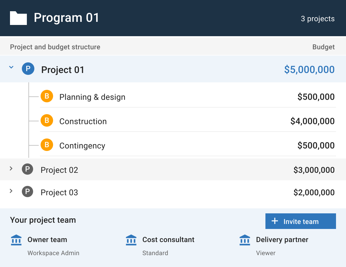 Mastt PMIS setup showing projects grouped in a program, budget categories and project team roles.