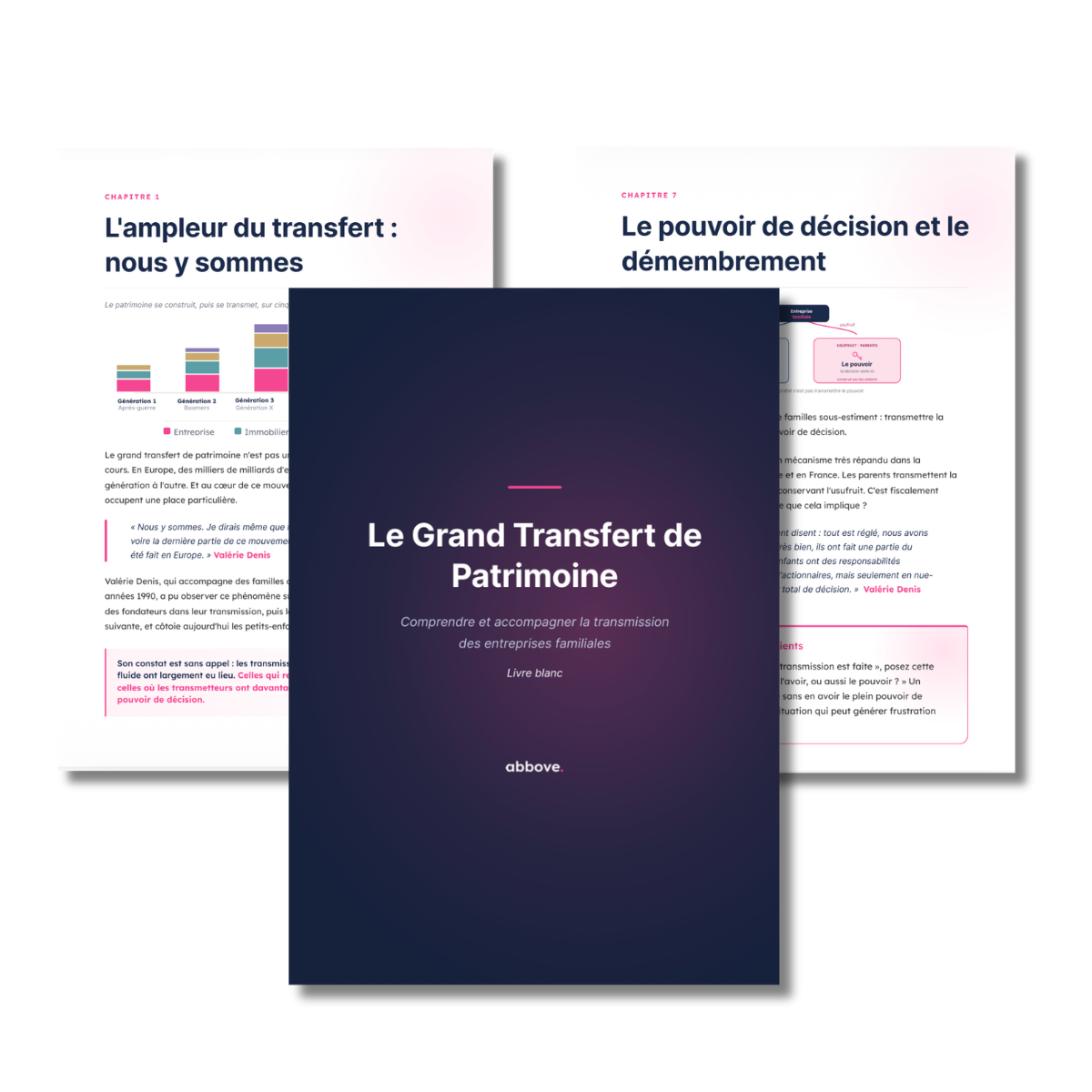 Visueel van een collaboratieve tool voor vermogensplanning voor een klant. Bevat een inventarisatiegrafiek van onroerend goed met categorieën zoals onroerend goed, investeringen en verzekeringen. Toont een stamboomdiagram en een kleurrijk cirkeldiagram van activatypen. Een roze pictogram met een dollarteken duidt op financiële discussies.