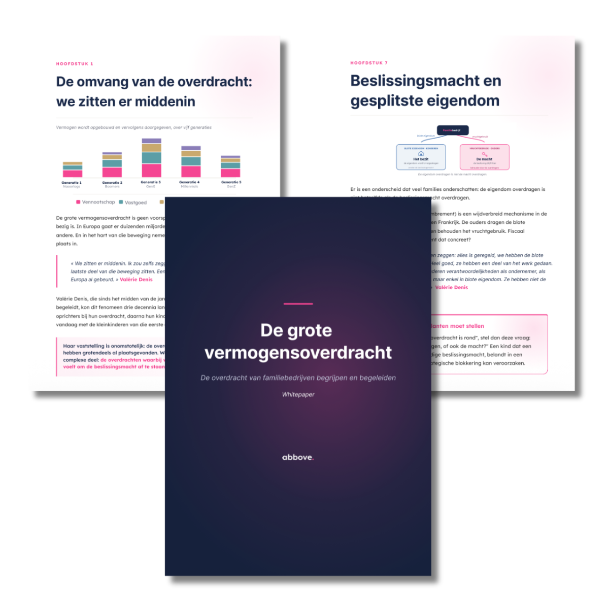 Visueel van een collaboratieve tool voor vermogensplanning voor een klant. Bevat een inventarisatiegrafiek van onroerend goed met categorieën zoals onroerend goed, investeringen en verzekeringen. Toont een stamboomdiagram en een kleurrijk cirkeldiagram van activatypen. Een roze pictogram met een dollarteken duidt op financiële discussies.