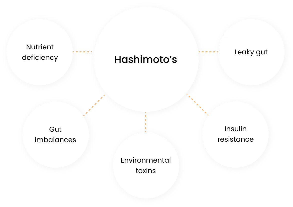 Hashimoto's Root Causes